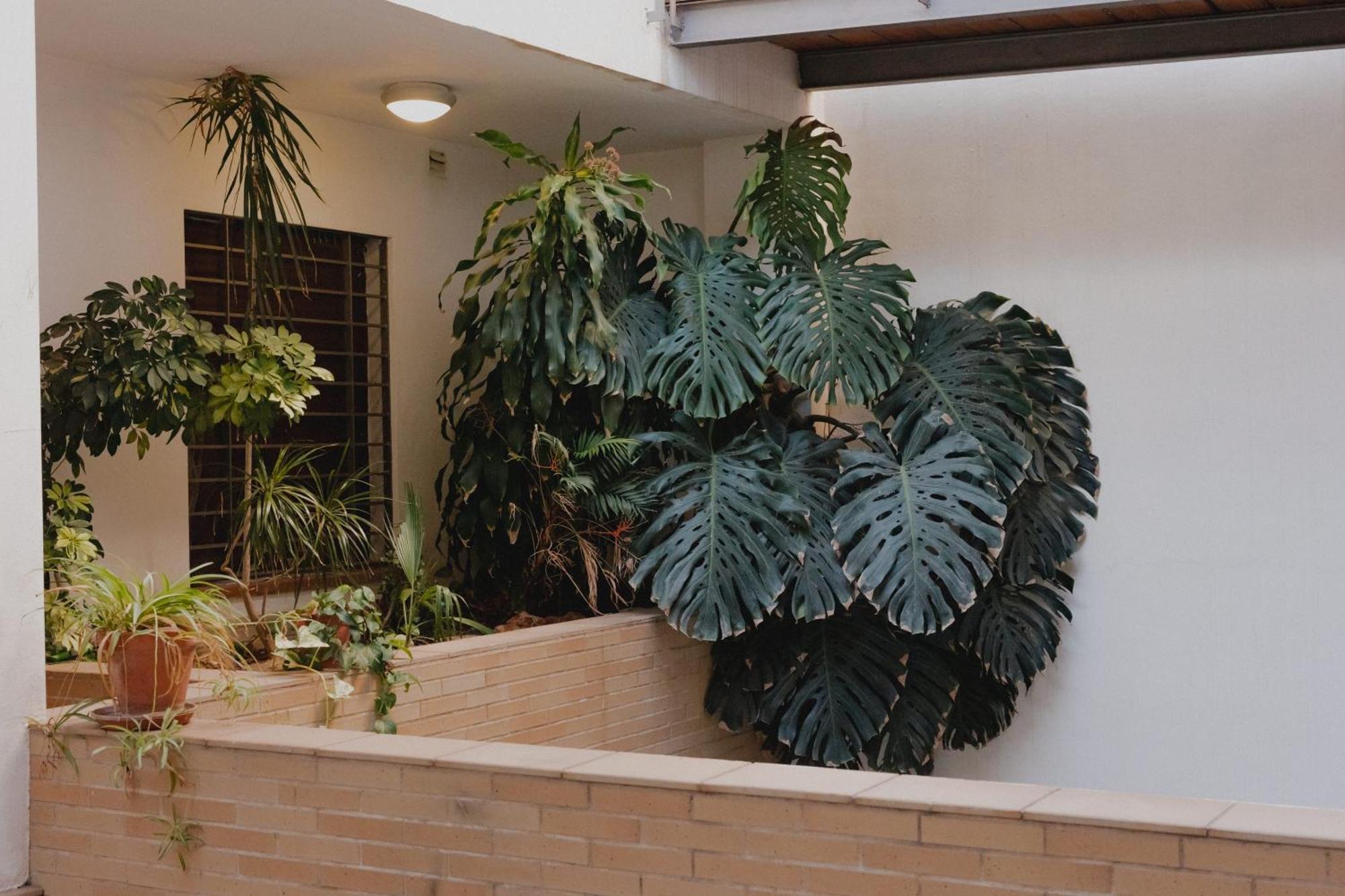 Suite Zamorano Málaga Exterior foto